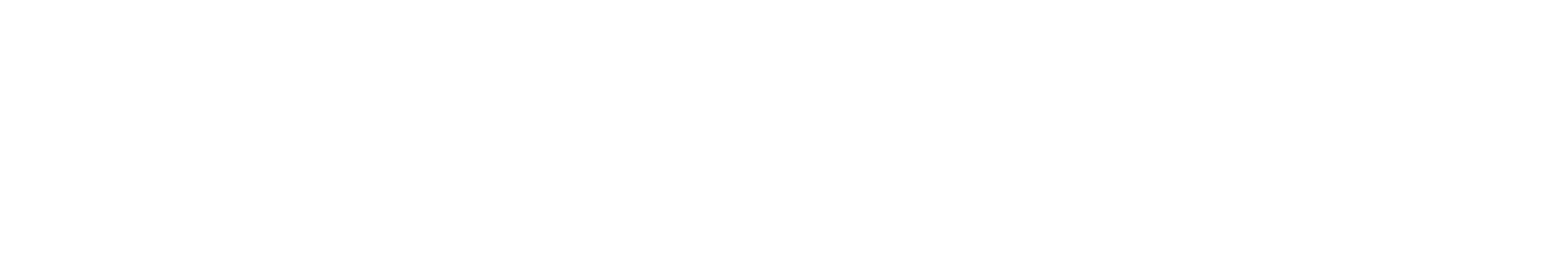 Fuelti